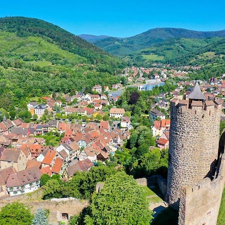 Les Chambres De La Weiss Kaysersberg-Vignoble Zewnętrze zdjęcie
