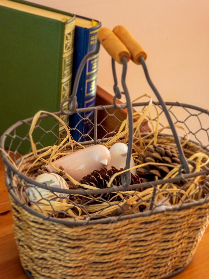 Les Chambres De La Weiss Kaysersberg-Vignoble Zewnętrze zdjęcie