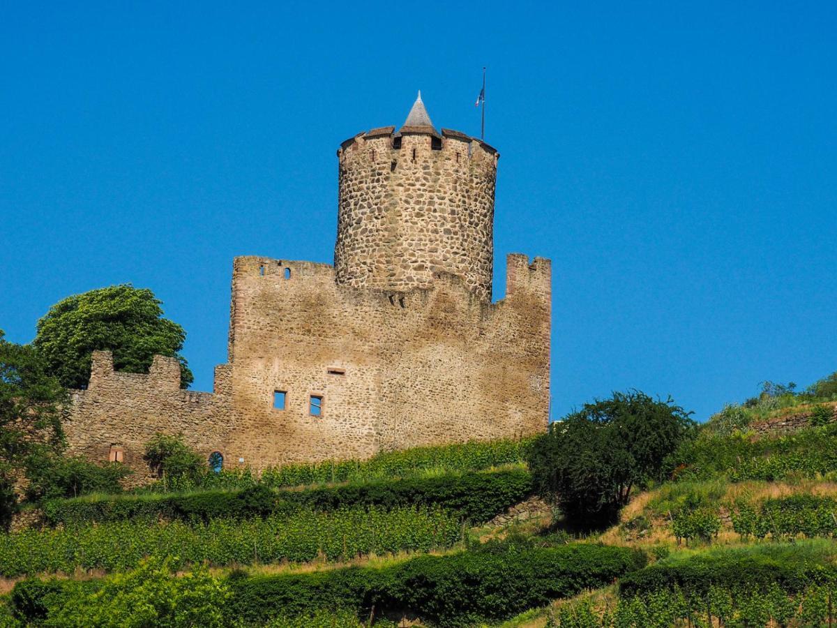 Les Chambres De La Weiss Kaysersberg-Vignoble Zewnętrze zdjęcie